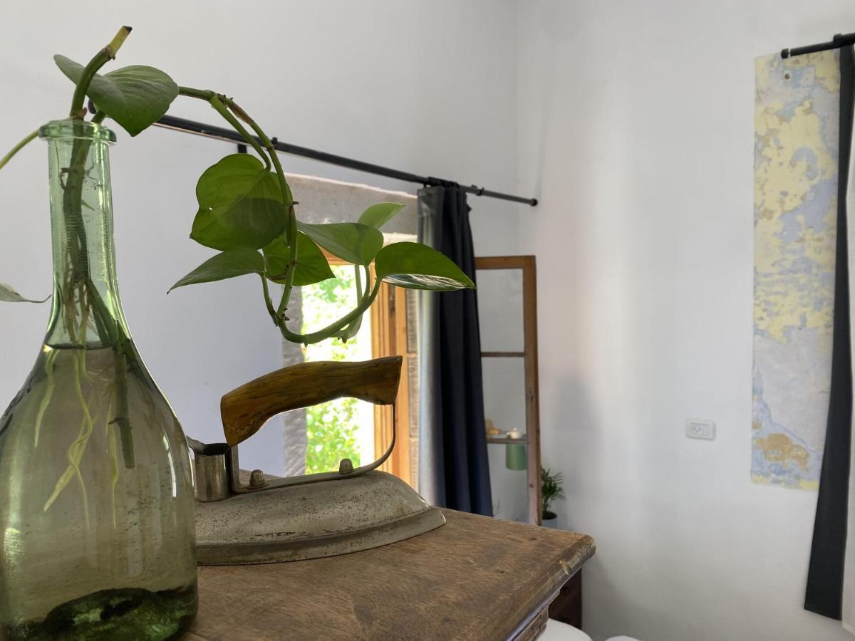 Haifa Vintage Studios 外观 照片